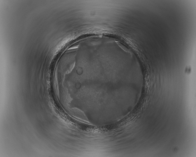 X0000115310679200911161722