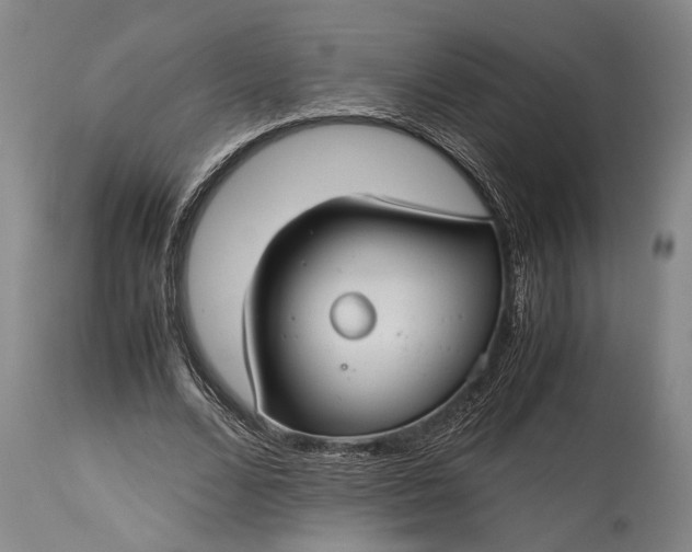 X0000115310680200911161722