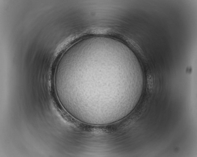 X0000115310682200911161722