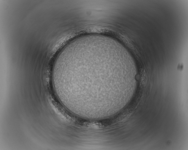 X0000115310683200911161722