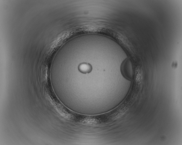 X0000115310685200911161722