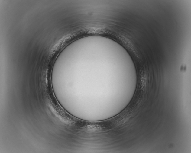 X0000115310686200911161722