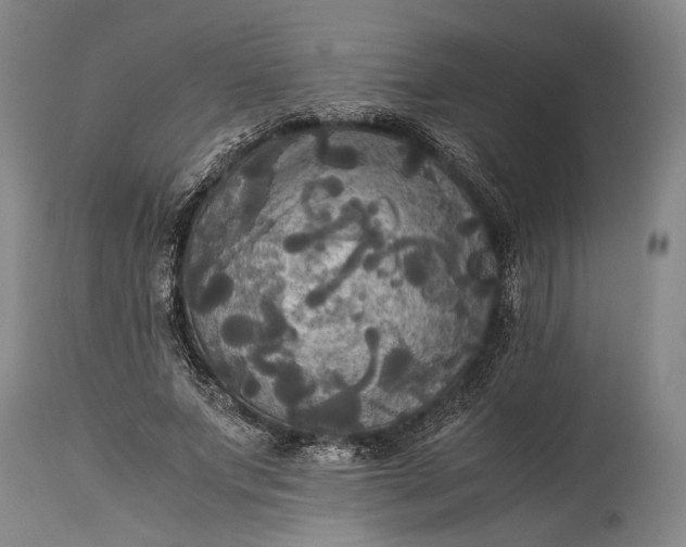 X0000115310687200911161722