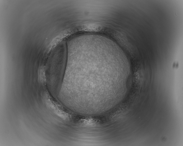 X0000115310688200911161722