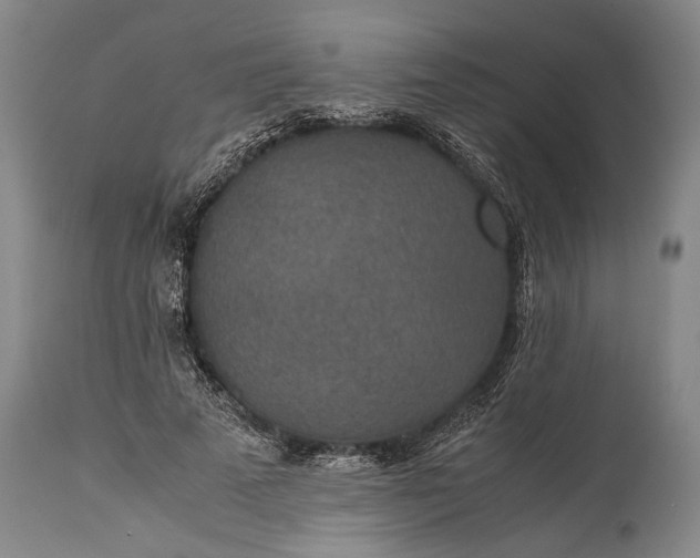 X0000115310689200911161722