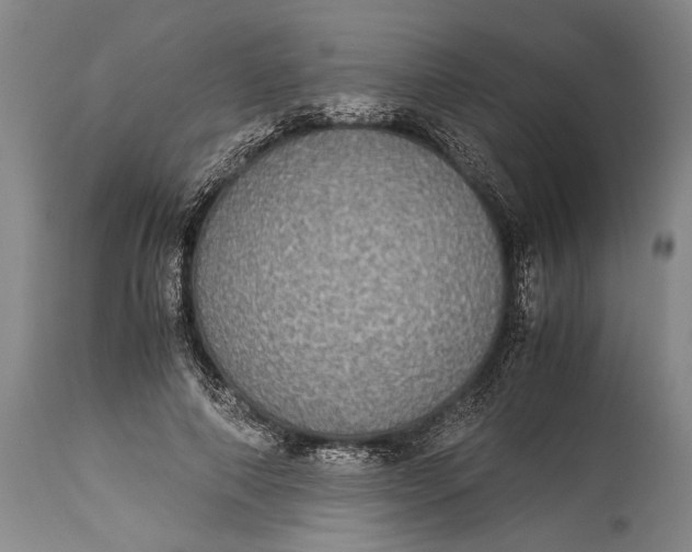 X0000115310690200911161721