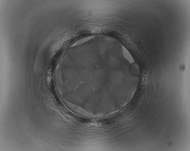 X0000115310691200911161721