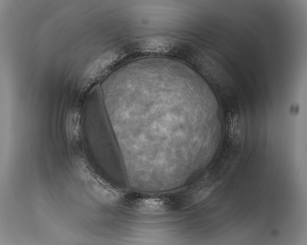 X0000115310692200911161721