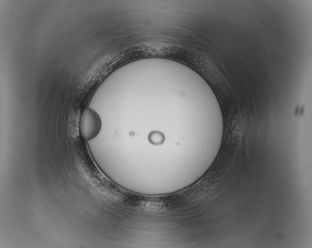 X0000115310694200911161721