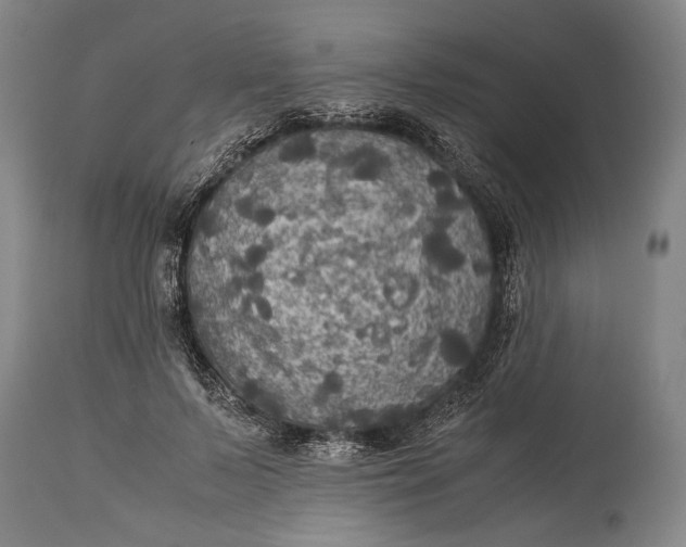 X0000115310695200911161721