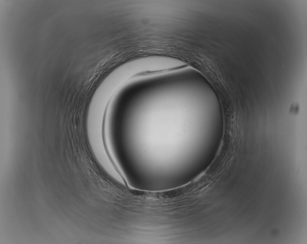 X0000115310697200911161721