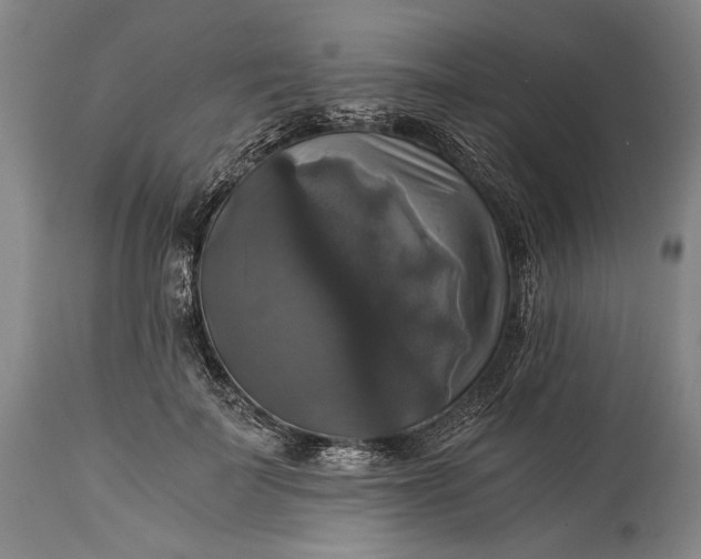 X0000115310699200911161721