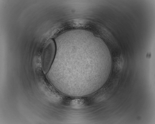 X0000115310700200911161721