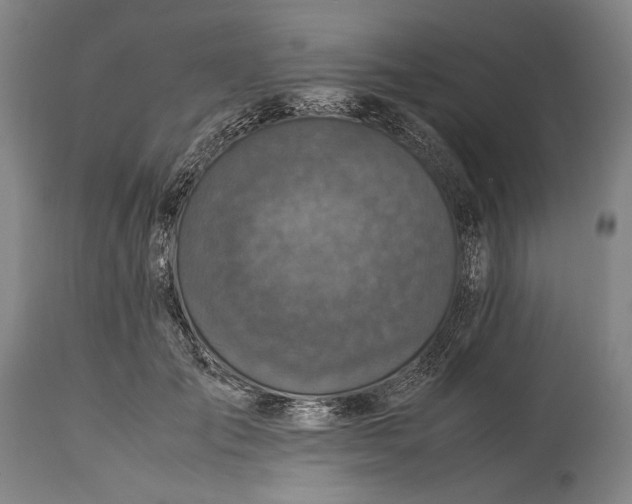 X0000115310701200911161721