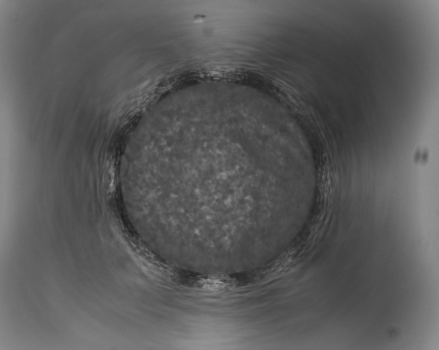 X0000115310703200911161721