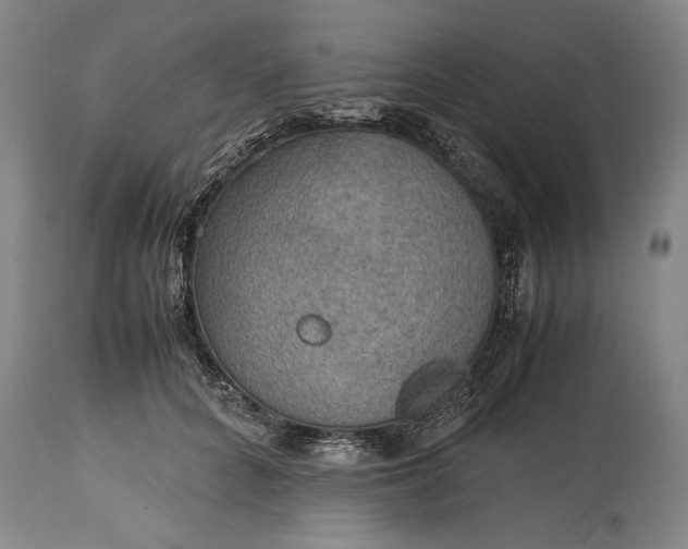 X0000115310704200911161721