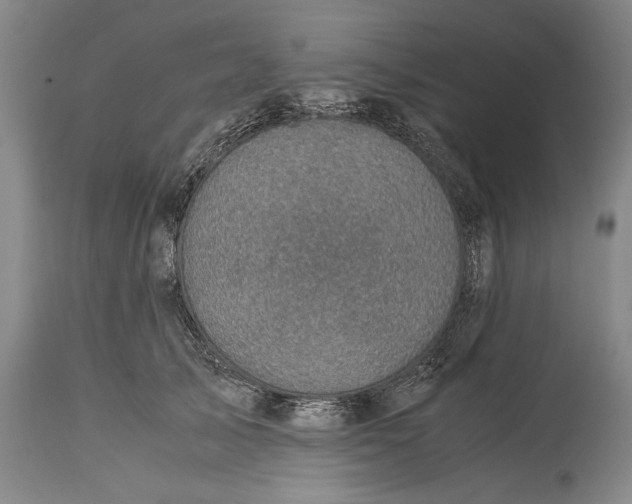 X0000115310705200911161721