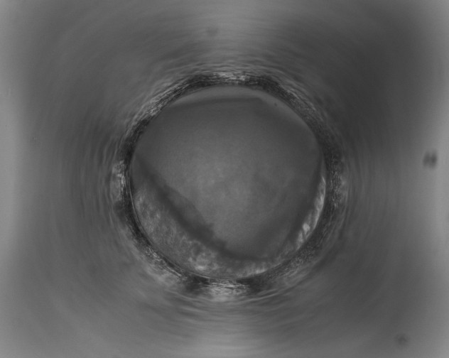 X0000115310707200911161721