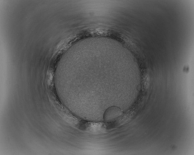 X0000115310709200911161721