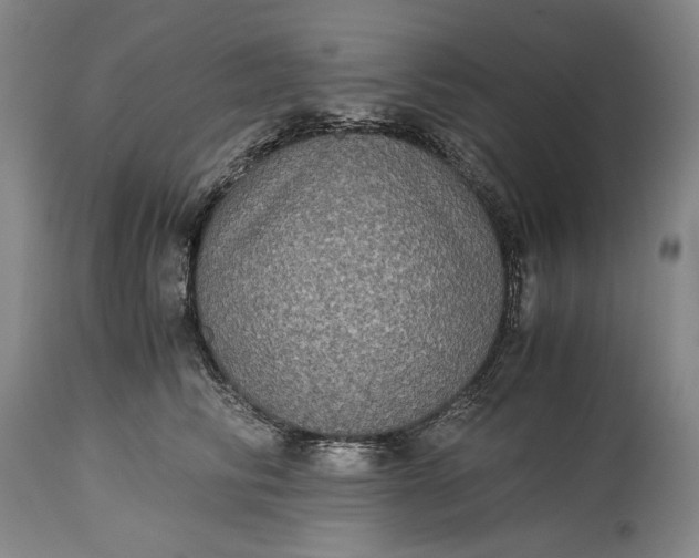 X0000115310710200911161721