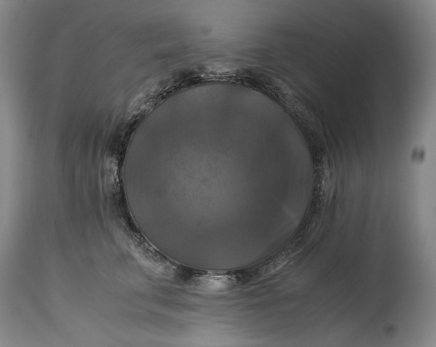 X0000115310711200911161721