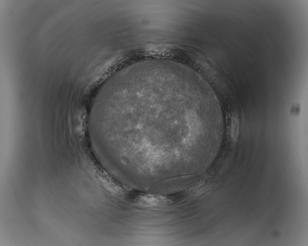 X0000115310712200911161721