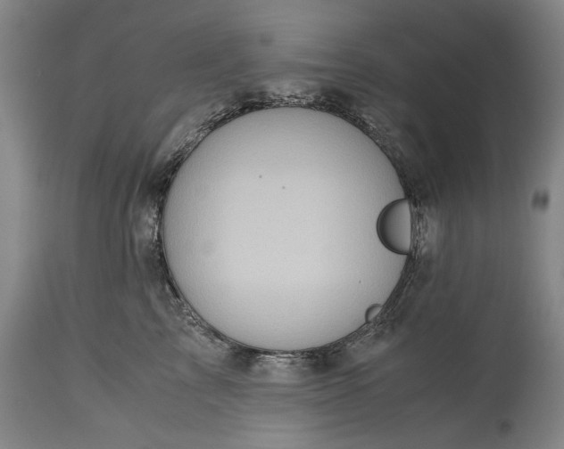 X0000115310713200911161721