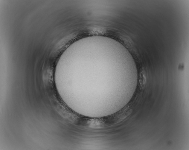 X0000115310714200911161721