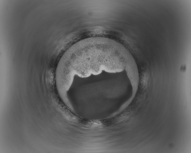 X0000115310715200911161721