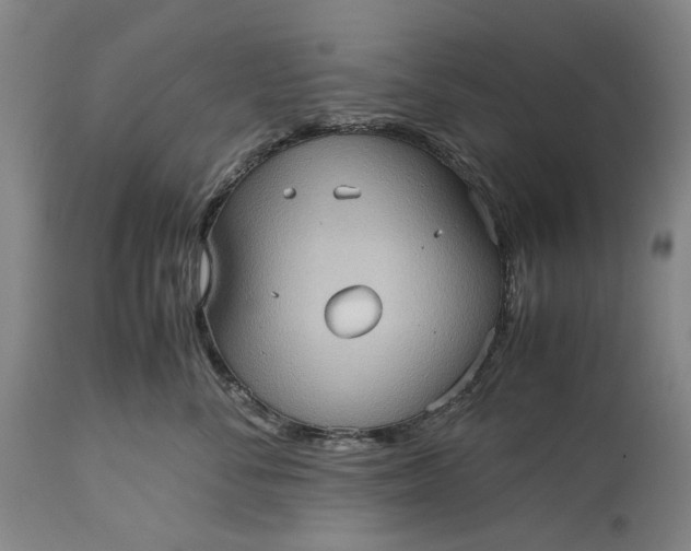 X0000115310716200911161721