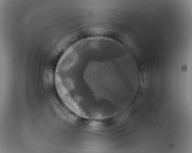 X0000115310718200911161721