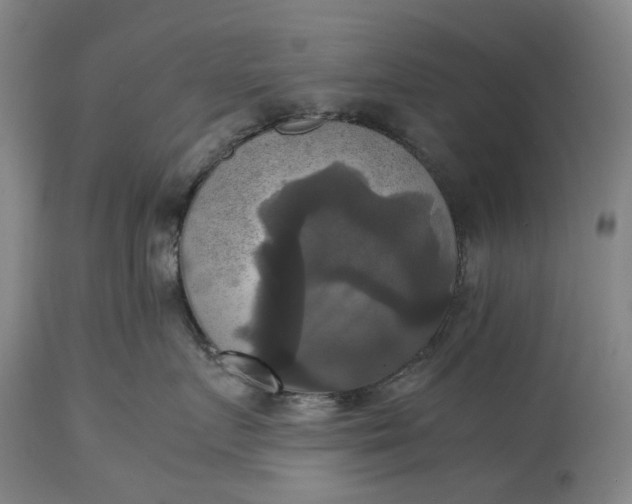 X0000115310719200911161721