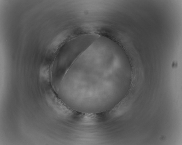 X0000115310720200911161721