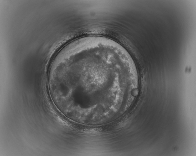 X0000115310721200911161720