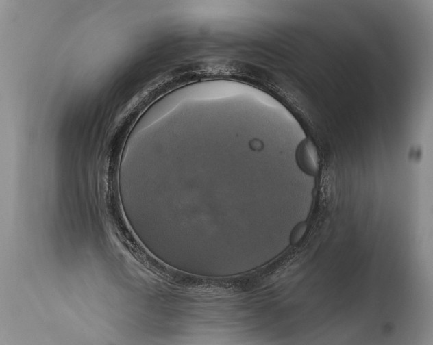 X0000115310722200911161720