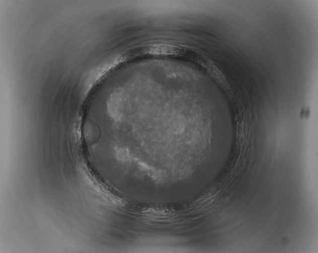 X0000115310727200911161721