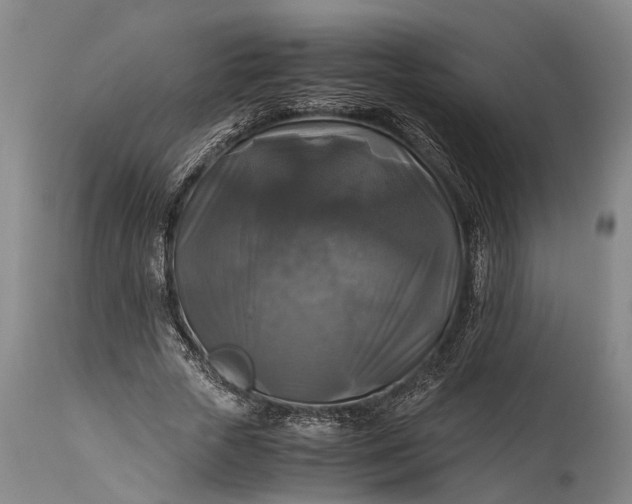 X0000115310729200911161721