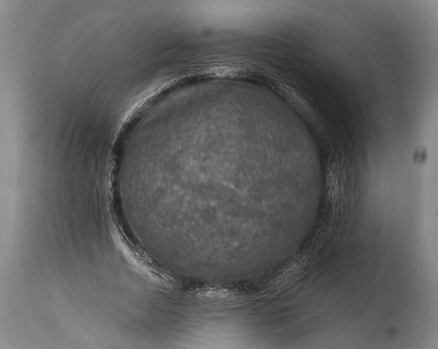 X0000115310730200911161721