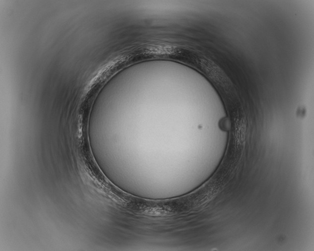 X0000115310731200911161721