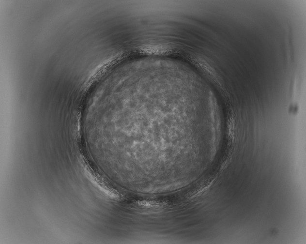 X0000115310733200911161721