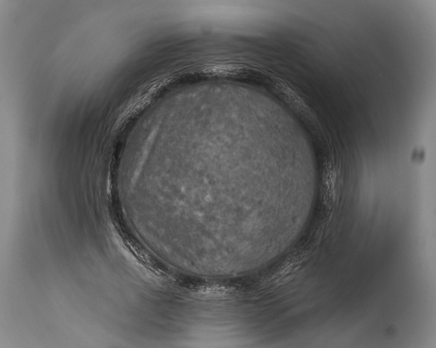 X0000115310734200911161721