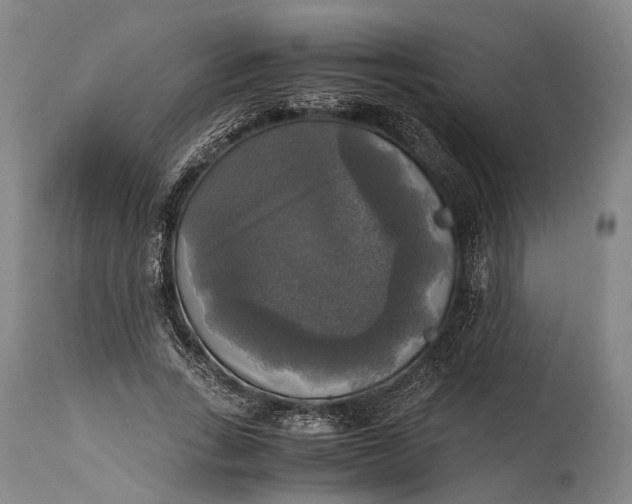 X0000115310735200911161721