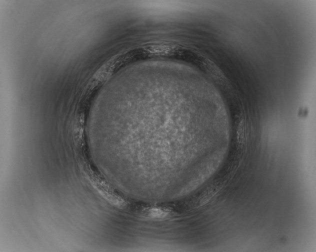 X0000115310737200911161721