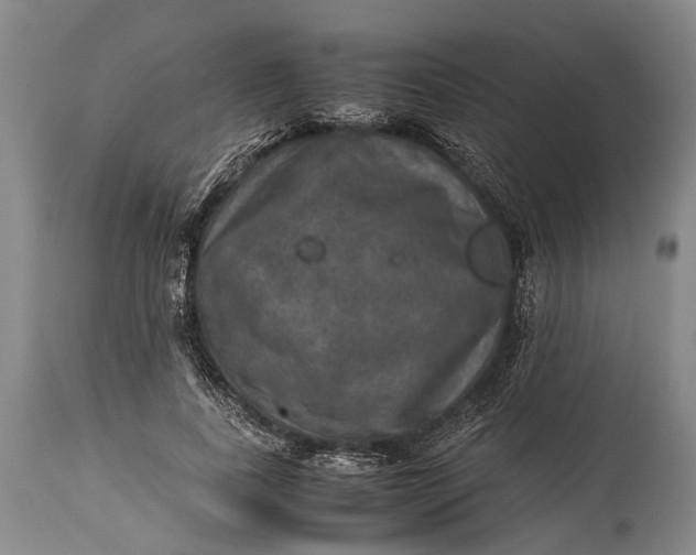 X0000115310739200911161721