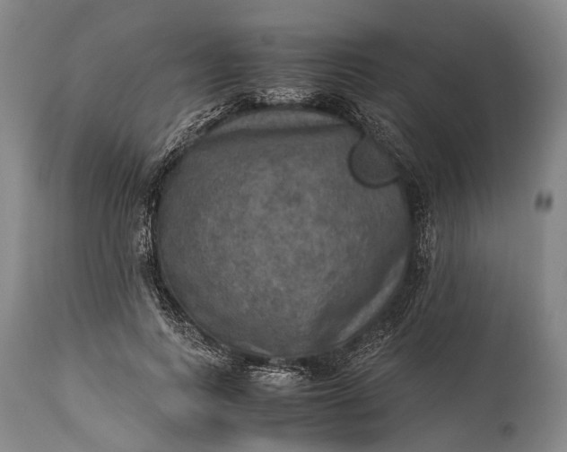 X0000115310743200911161721