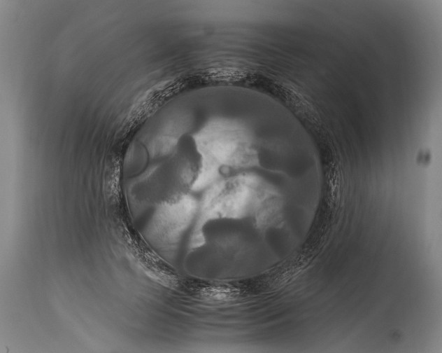 X0000115310745200911161721