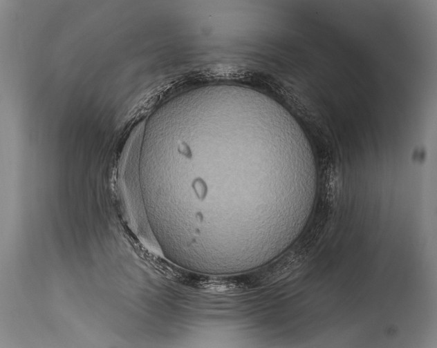 X0000115310746200911161721