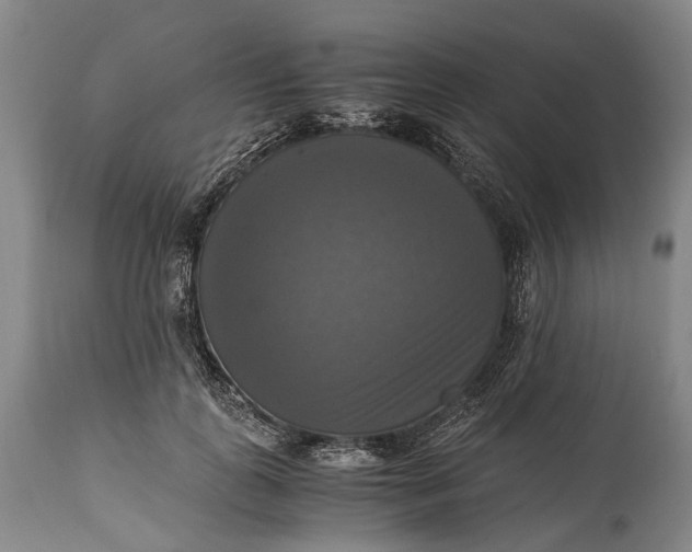 X0000115310747200911161721