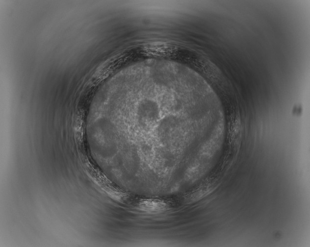 X0000115310749200911161721