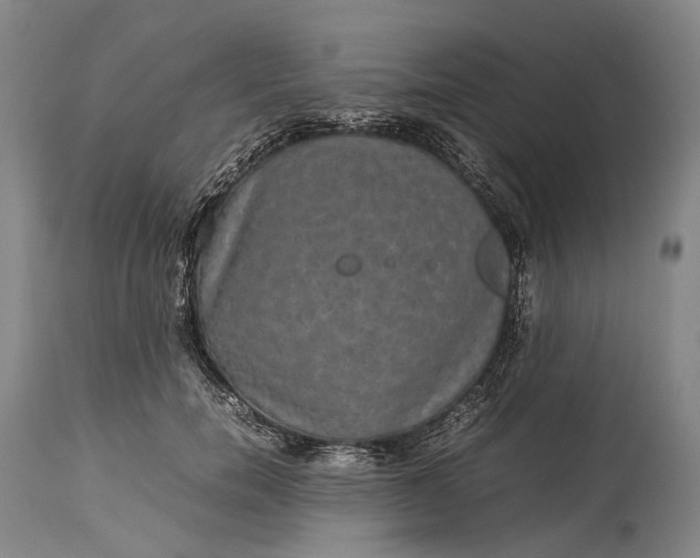 X0000115310750200911161721